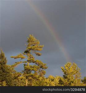 Rainbow in the sky over Lake of the Woods, Ontario