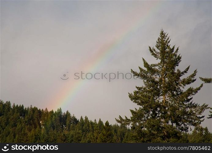 Rainbow near Hood Canal, WA