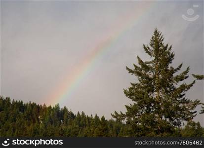 Rainbow near Hood Canal, WA