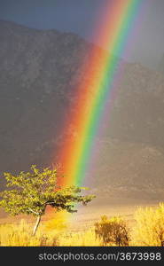Rainbow on Hawaii