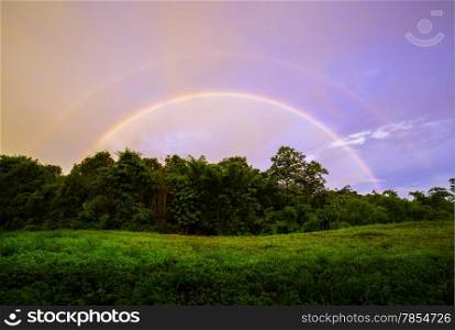 Rainbow Over Forest