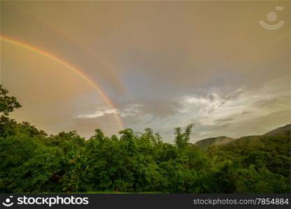 Rainbow Over Forest