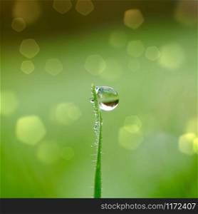 raindrop on the grass leaf in the nature, rainy days in winter