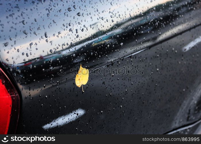 Raindrops and yellow leaf on black car after the rain at early fall.