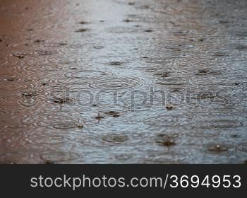 Raindrops in a pool of water