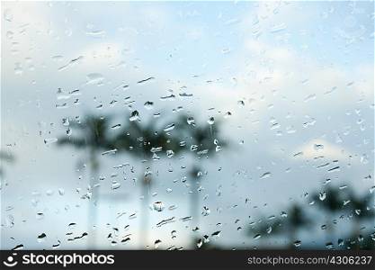 Raindrops on car window
