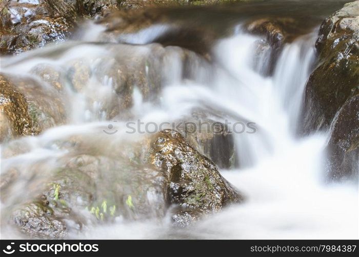 rainforest waterfall and rocks covered with moss