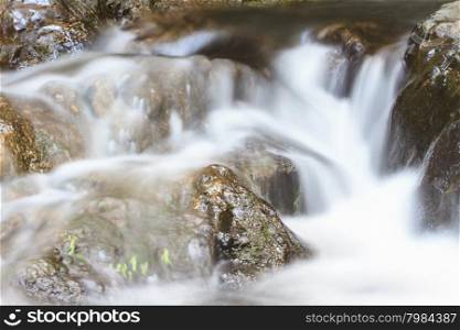 rainforest waterfall and rocks covered with moss