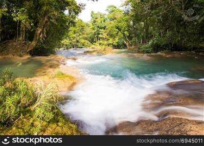 Rainforest waterfalls of Agua Azul near Palenque in Chiapas, Mexico