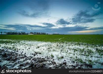 Rainwater infiltrates the soil and does not sink further, causing the earth to become saturated. Wet arable land with puddles of rain during sunset