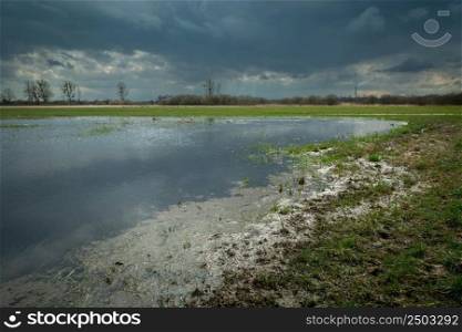 Rainwater on the meadow and cloudy sky, spring day
