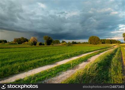 Rainy cloud and rural road through the fields
