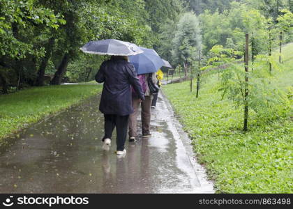 Rainy day walk with umbrellas in Rila Park near town Dupnitsa, Bulgaria