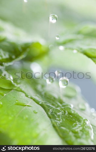 Rainy Image