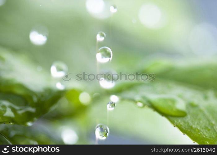 Rainy Image