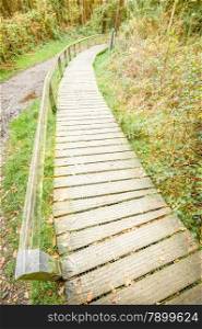 raised wooden boardwalk through a nature trail