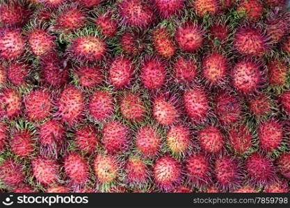 rambuthan fruits at the Talat Warorot in the city of chiang mai in the north of Thailand in Southeastasia. &#xA;&#xA;&#xA;