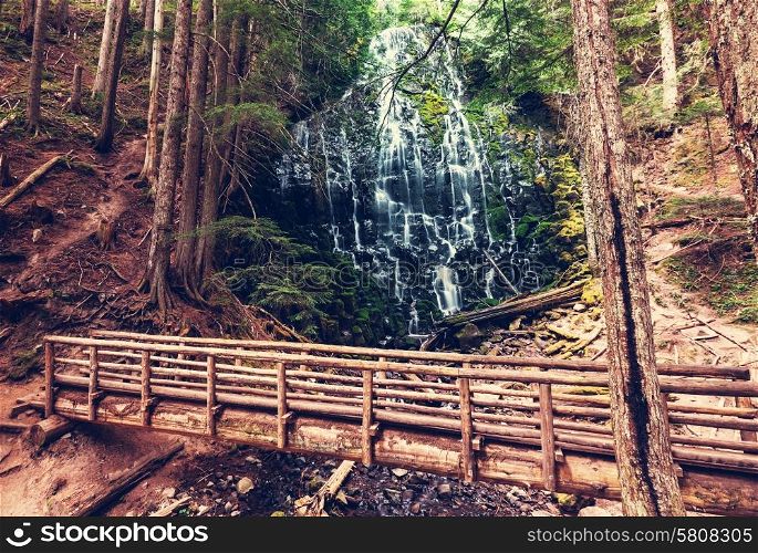 Ramona falls in Oregon,USA
