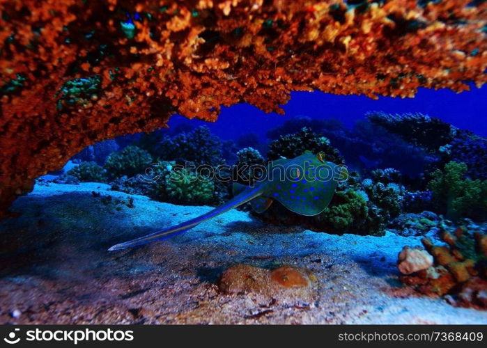 ramp sea under water