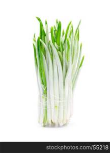 ramson bunch vegetable isolated on white background