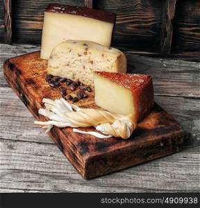 range Swiss cheeses. Four varieties of delicious homemade cheese on the kitchen board