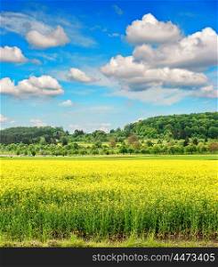 Rapeseed field withcloudy blue sky. Beautiful spring landscape
