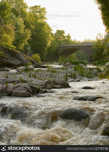 Rapids in park at dawn