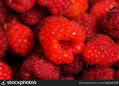 Rasberry background from many ripe berries close up, shallow deep of field