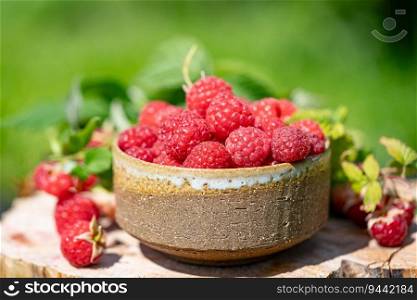 Raspberries. Bowl of ripe raspberries in a garden. Close up of raspberry fruit.. Bowl of ripe raspberries