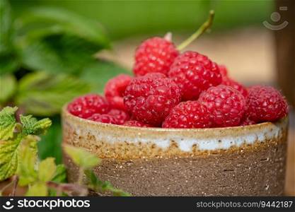Raspberries. Bowl of ripe raspberries in a garden. Close up of raspberry fruit.. Bowl of ripe raspberries