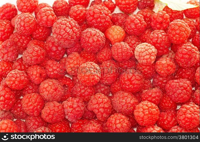 Raspberries close up as background
