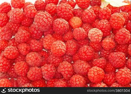 Raspberries close up as background