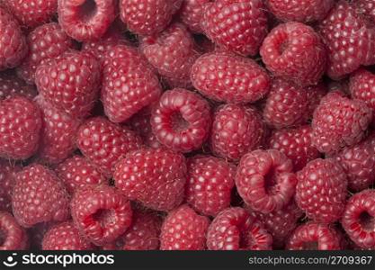 Raspberries close up full frame