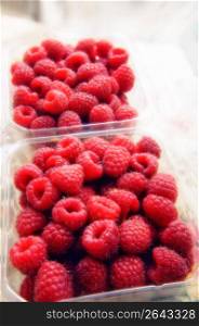 Raspberries in containers, close-up, elevated view