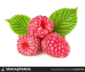 raspberries isolated on white background