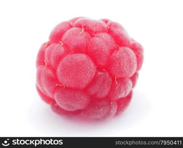 raspberries on a white background