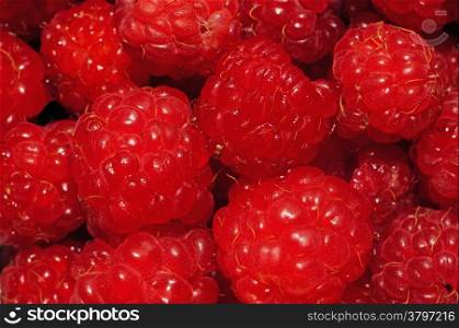 Raspberries very close up as background