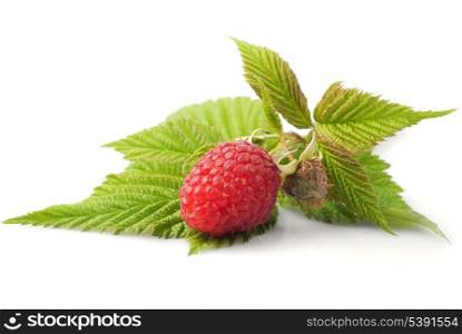 Raspberries with green leafs isolated on white background