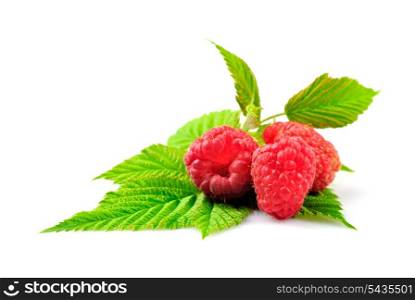 Raspberries with green leafs isolated on white background