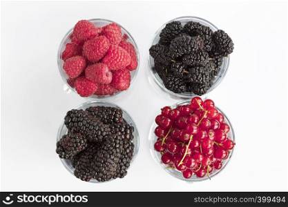 Raspberry, a big black blackberry, red currant and mulberry are poured into transparent glass cups for lattes and stand in a row on a light background, the image in a high key. Raspberry, a big black blackberry, red currant and mulberry are located in clear glass on a light background