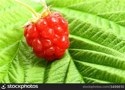 raspberry and green isolated on white background