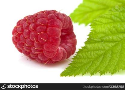 Raspberry and leaf isolated on white