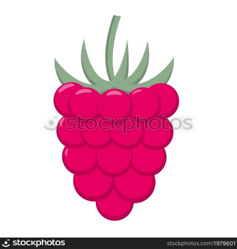 Raspberry close up isolated object. Clipart Berry with leaf tail. Raspberry drawing, vector illustration.. Raspberry close up isolated object.