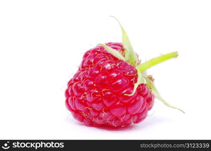 raspberry closeup isolated on white background