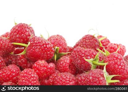 raspberry fruits isolated on white background