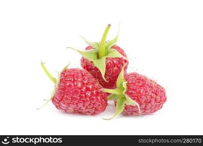 raspberry fruits isolated on white background