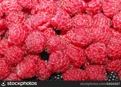 raspberry in the heap. rich crop of red ripe and tasty raspberry