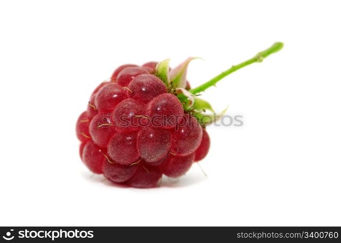 raspberry isolated on a white background