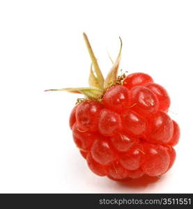 raspberry isolated on white background