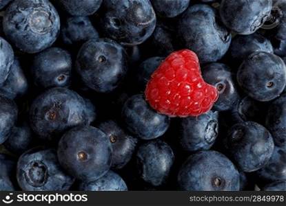 Raspberry on a background of blueberries